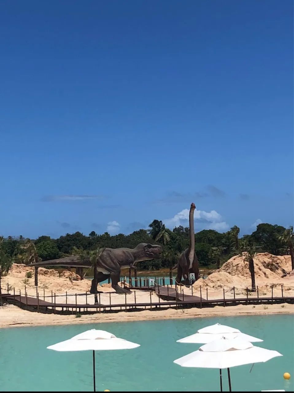 3.836M2 vizinho ao Alchimist - Foto 4