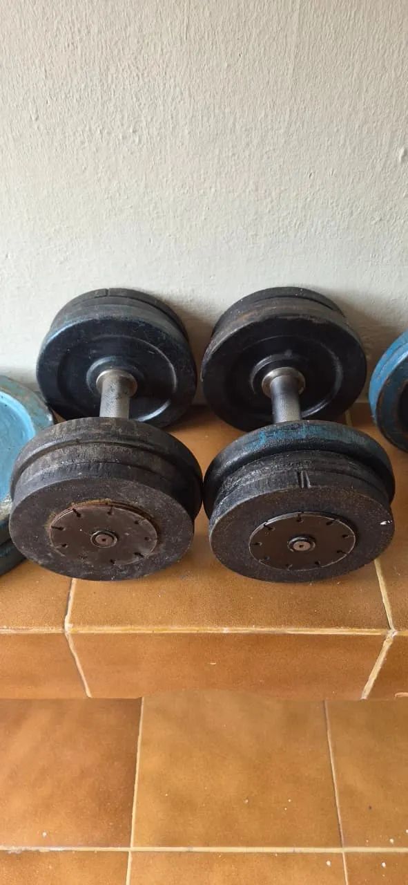 Barras, anilhas, halter - Academia