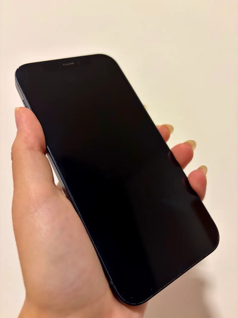 iPhone 12 64 GB - Preto 