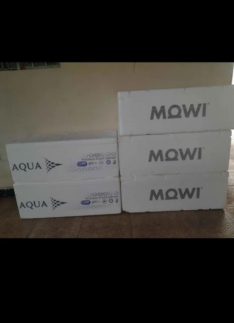 Caixa isopor R$25 - Foto 4
