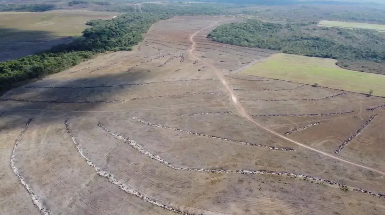 Fazenda 236,38 alqueires (1.144,12 hectares) Pium - To