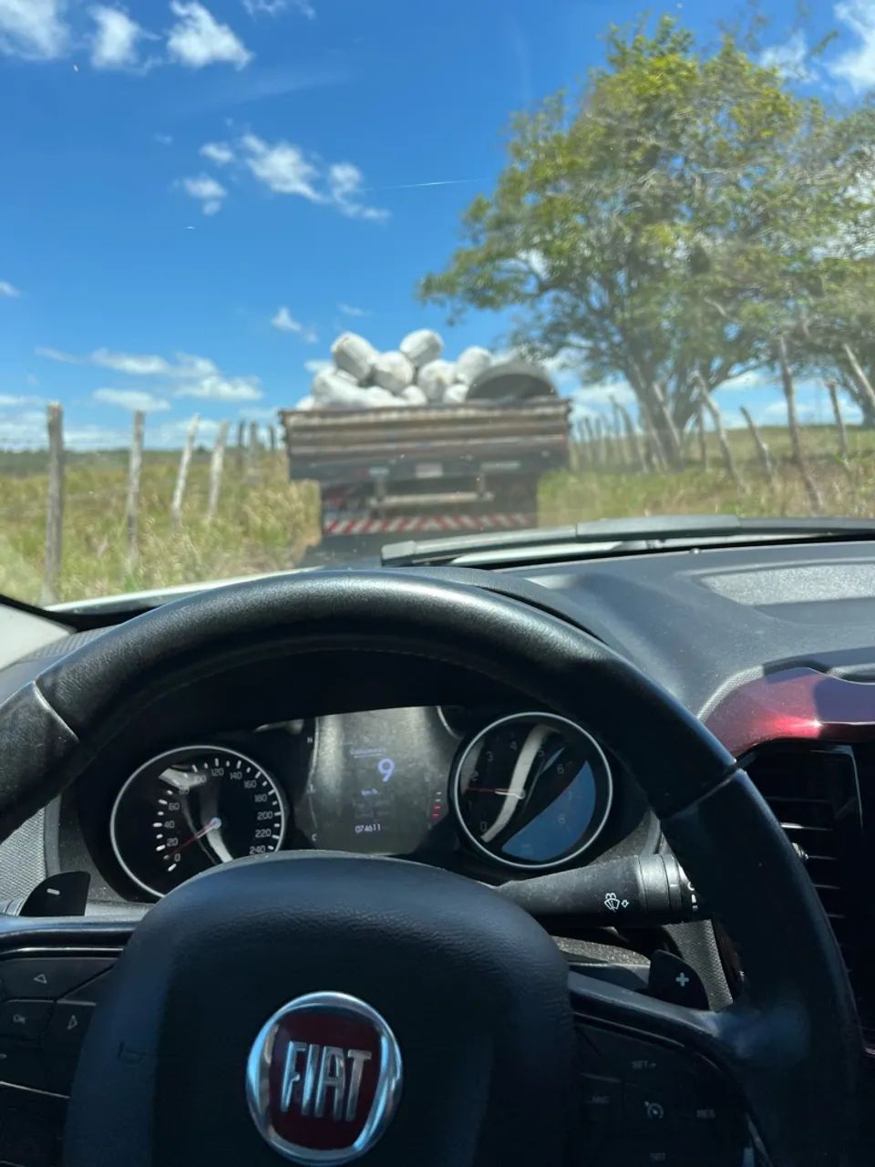 Silagem de milho  - Foto 3