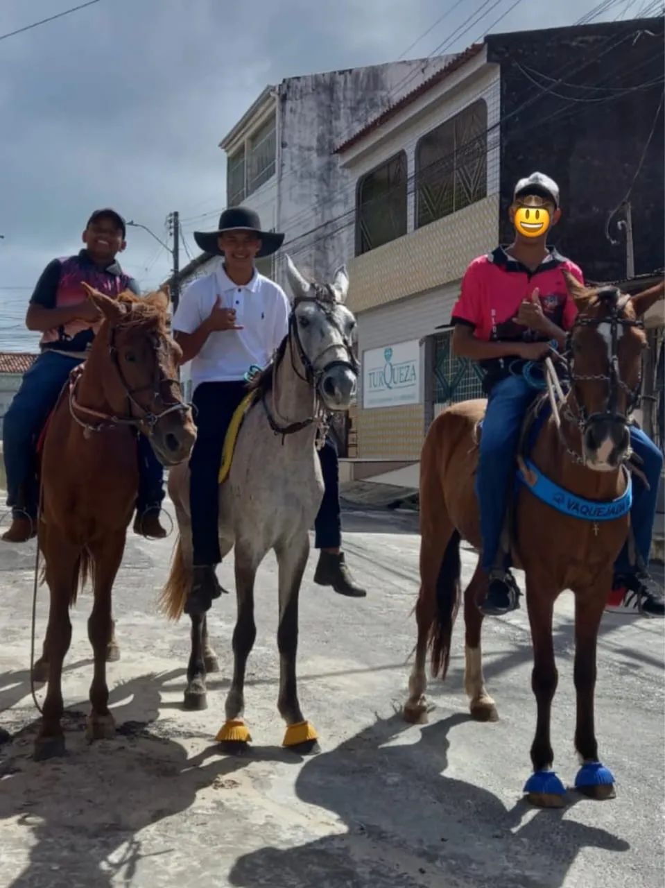 Cavalo de raça  - Foto 4