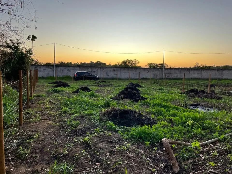 Terreno em Trancoso - Trancoso Residencial - Foto 4