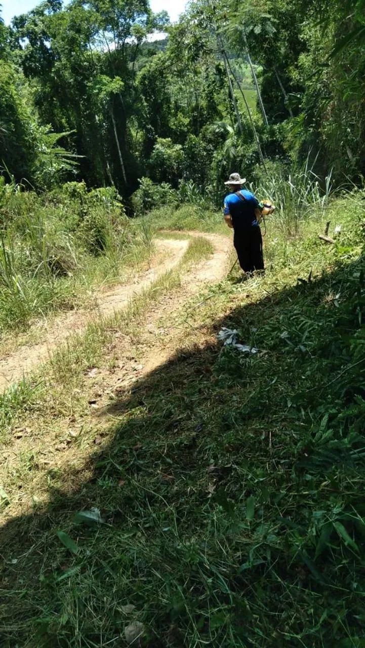 Terreno 