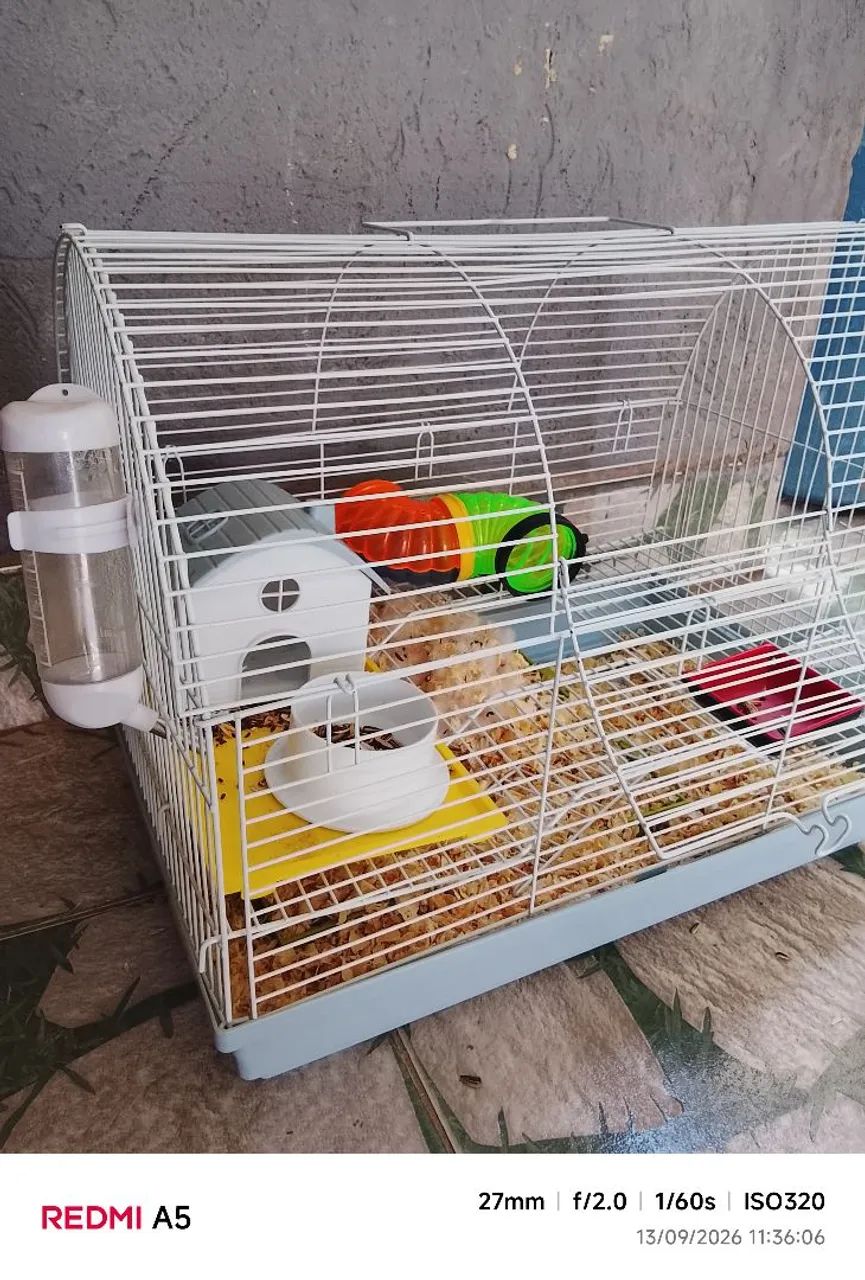 GAIOLA HAMSTER  - Foto 3