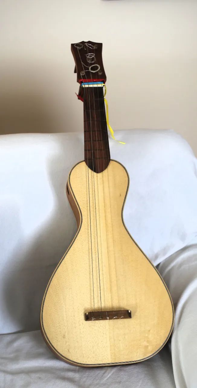 Viola de Cocho 2019