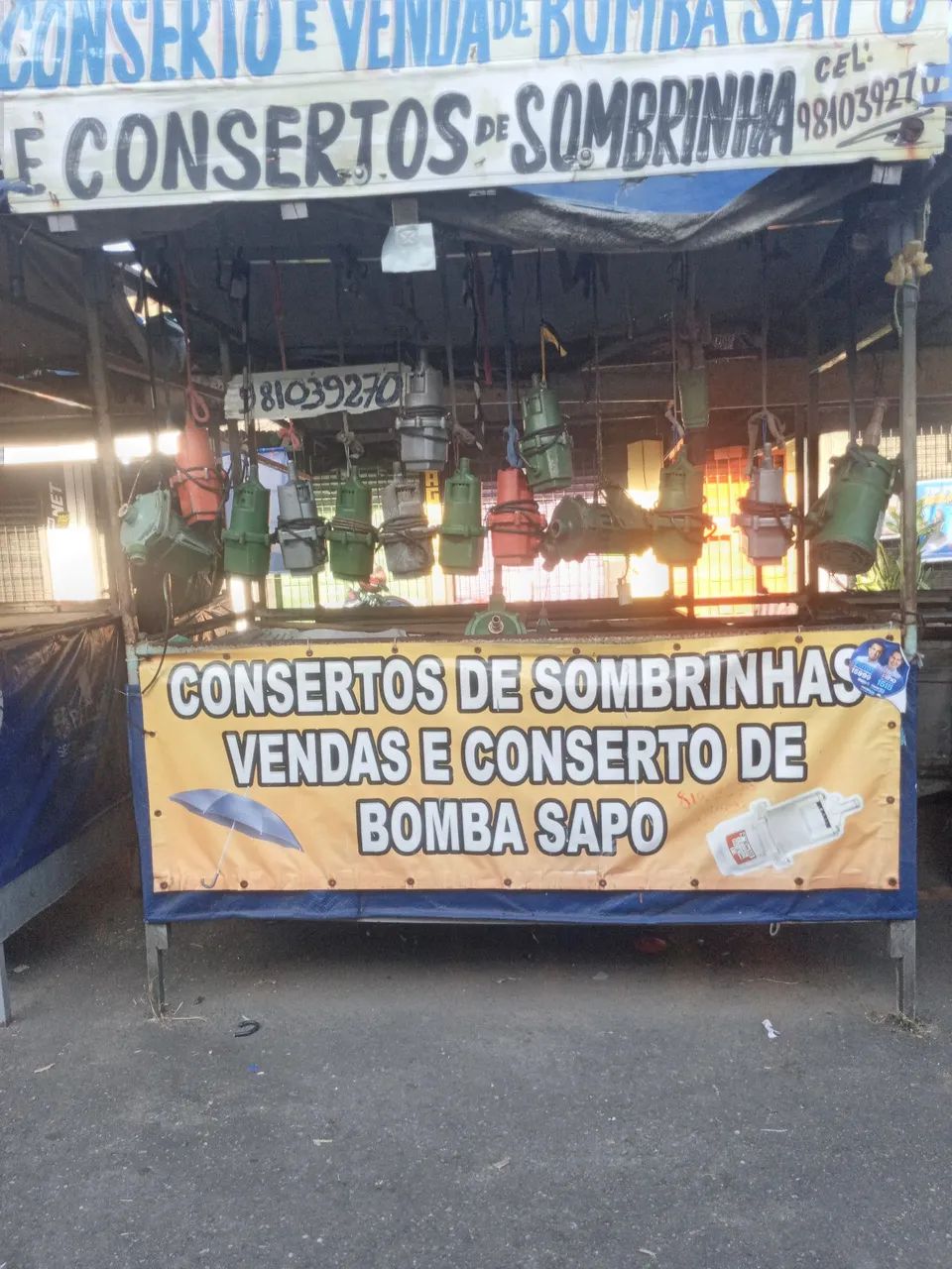 Bomba sapo - Foto 5