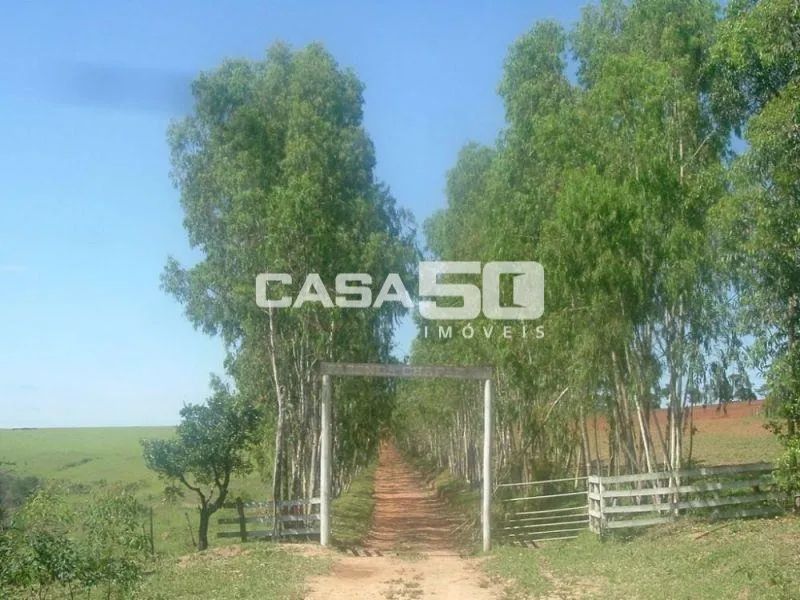 fazenda - Centro - Pimenta - Foto 2