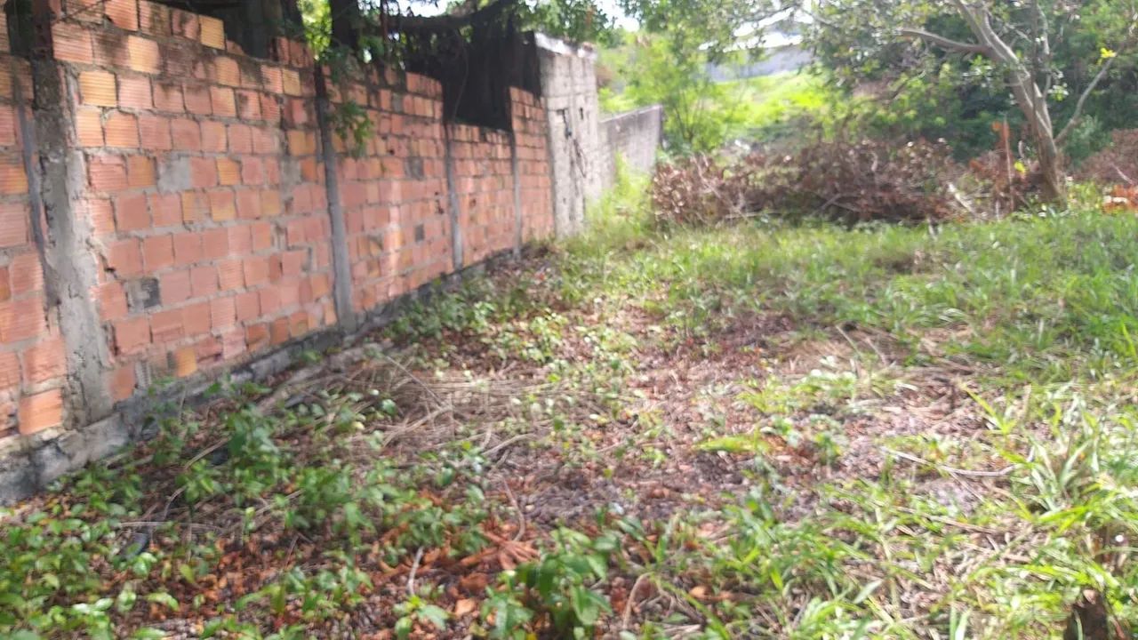 Terreno em monte gordo  - Foto 5