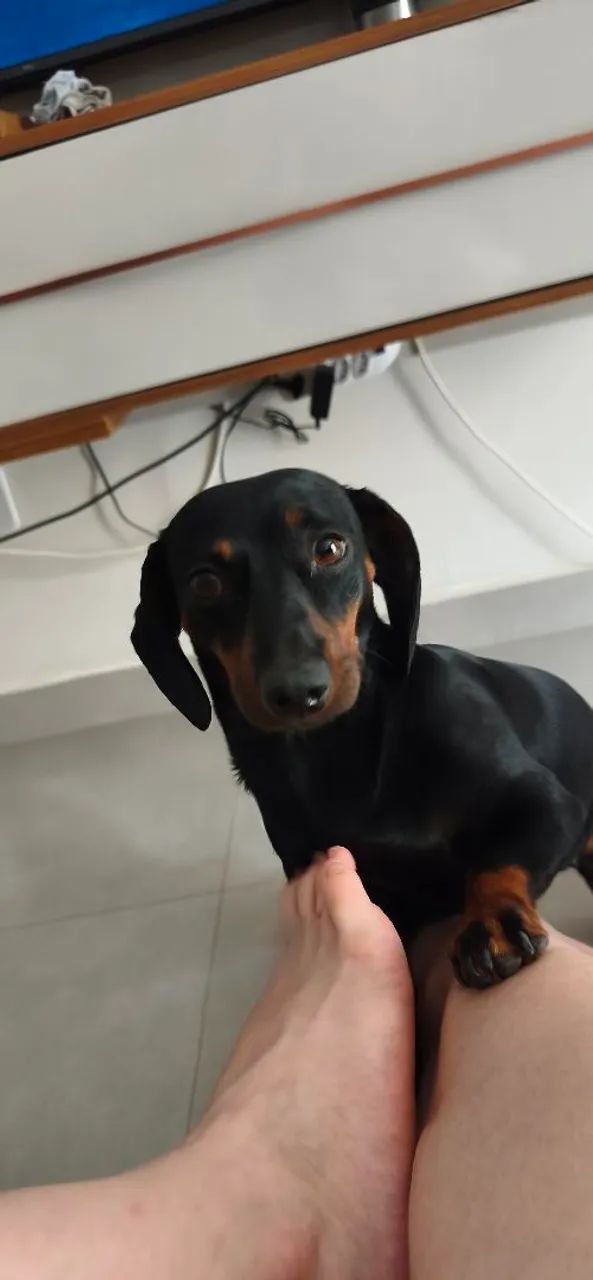 Procuro machinho para minha cofapi - Foto 3