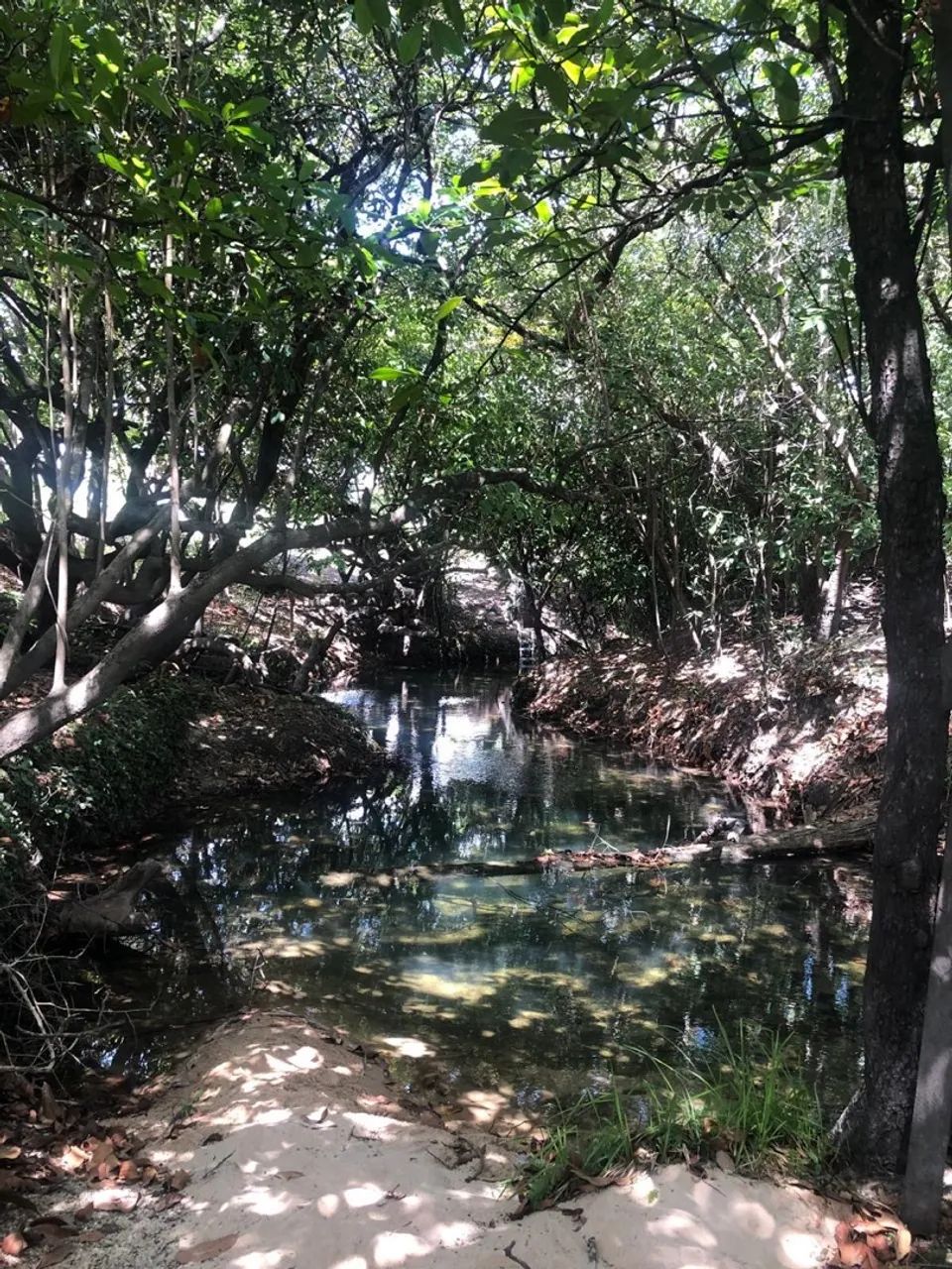 Vende-se banho no água boa de cima  - Foto 5