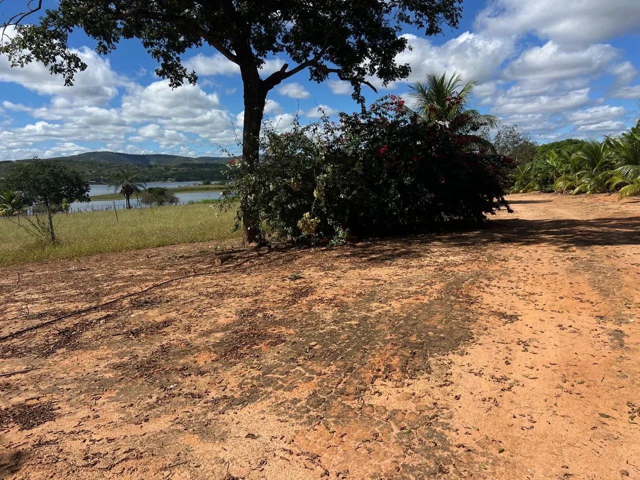 Sítio em Caraíbas BA - Foto 5