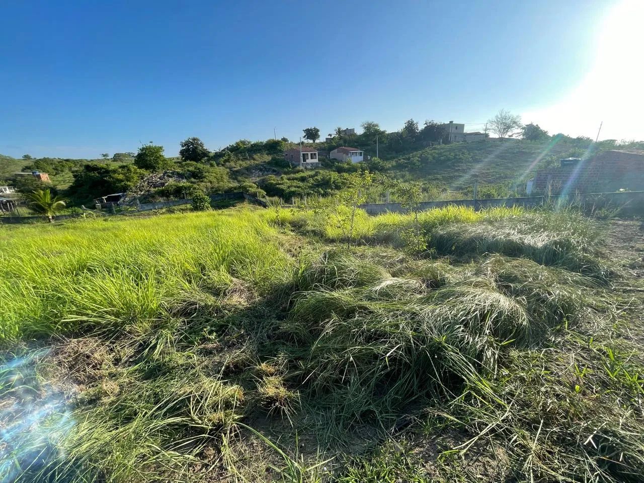 área de chácara dentro da cidade de Limoeiro-PE - Foto 3