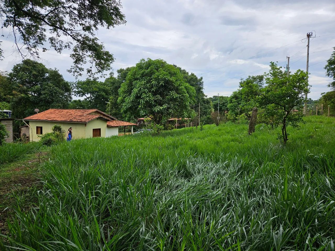 Sítio em Crucilândia  - Foto 2
