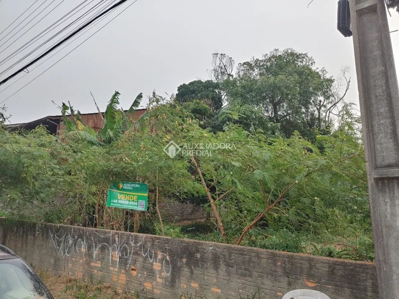 Terreno com viabilidade proximo a praia - Foto 3