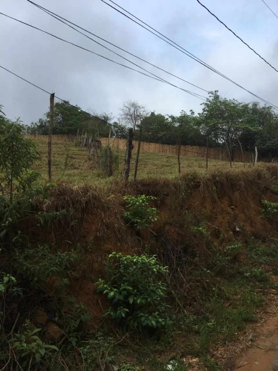 Foto - Cataguases - Centro