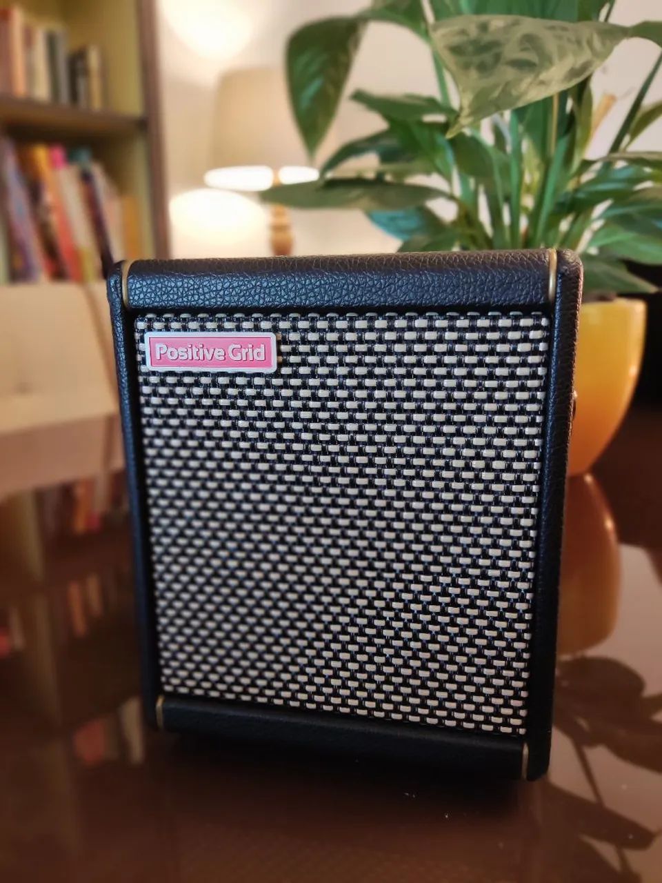 Amplificador Positive Grid Spark Mini