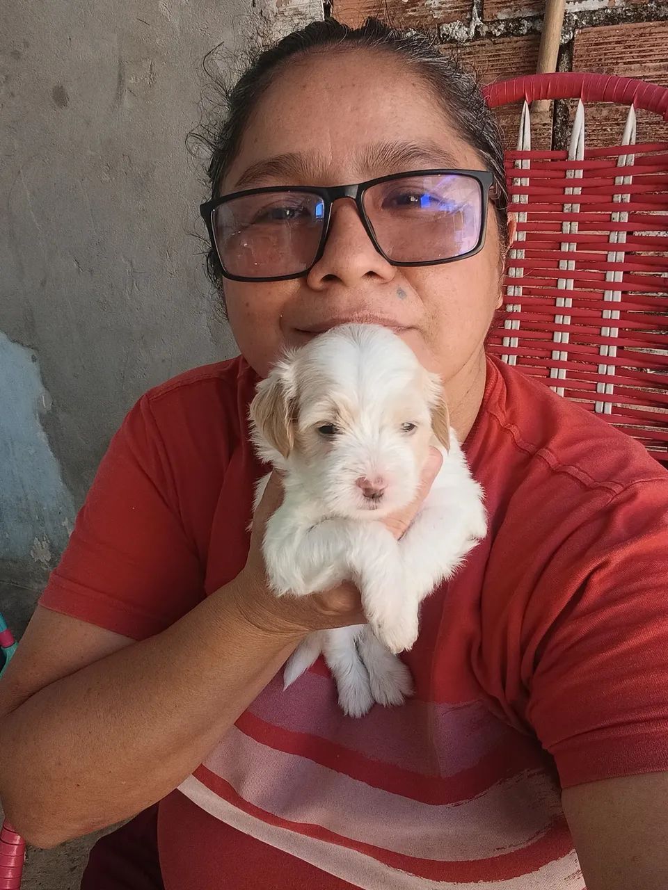 Cachorro  - Foto 5