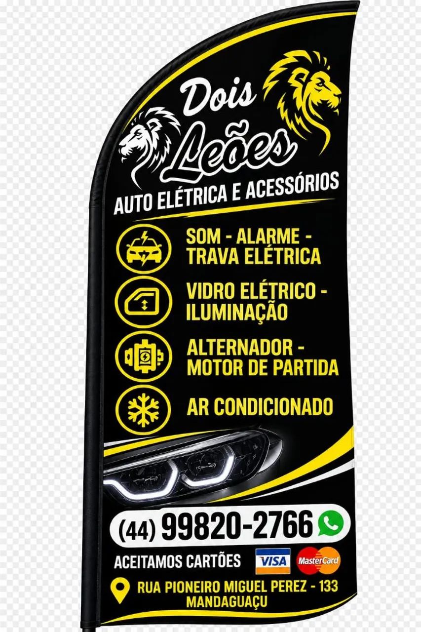 Auto elétrico 