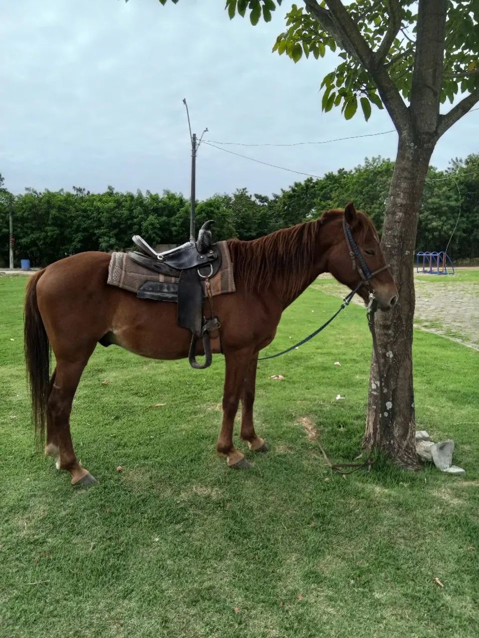 Vendo ou troco  - Foto 3