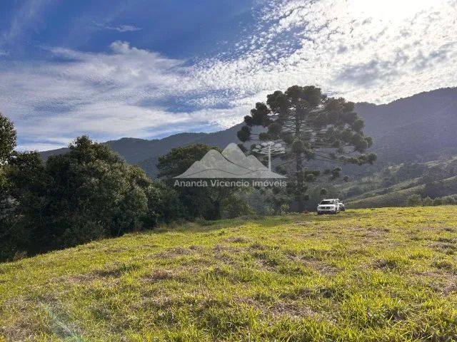 Belíssima Chácara de 5.000 m2 com platô de 3.500m2. Delfim Moreira MG - Foto 5