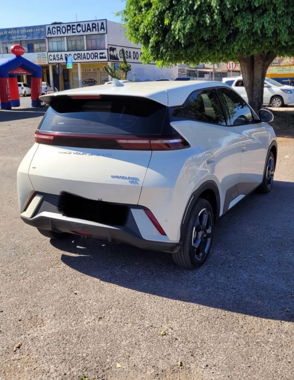 BYD Dolphin Mini (Elétrico) 2025 - Foto 3
