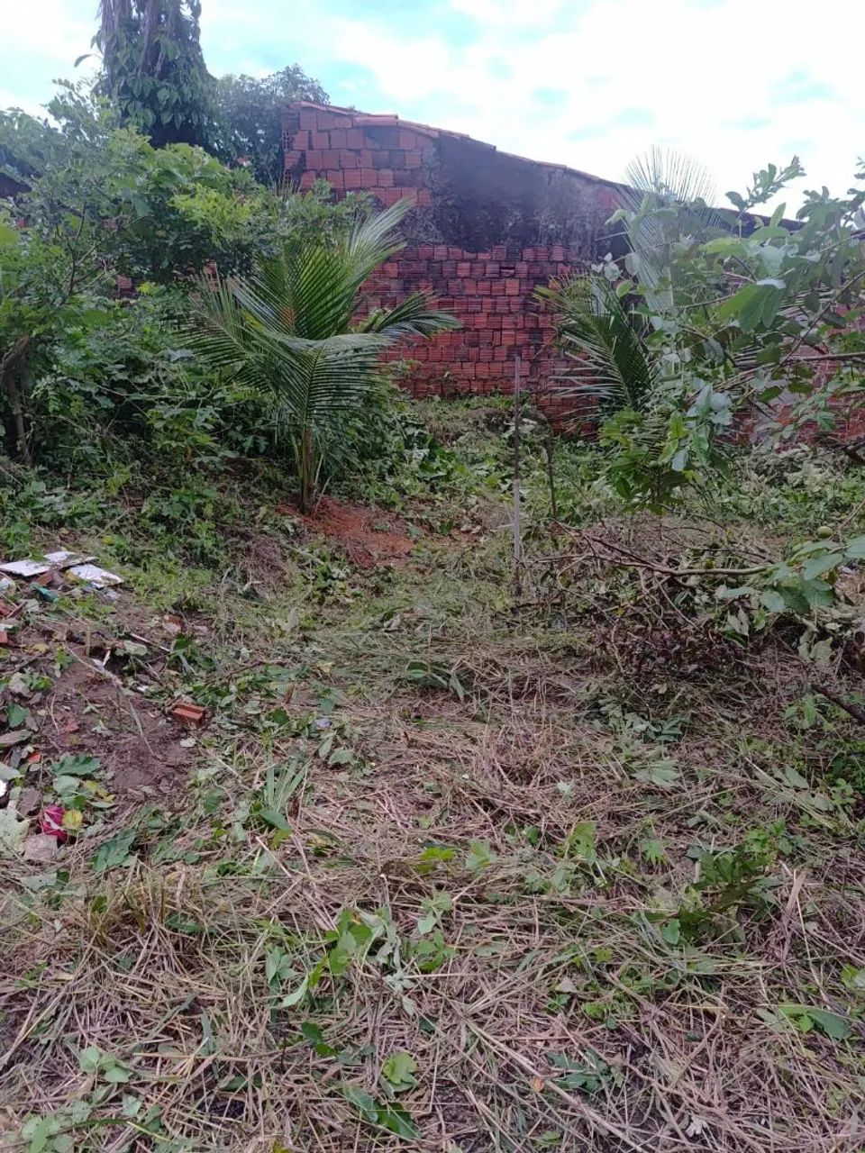 Vendo este terreno, ótimo localização  - Foto 3