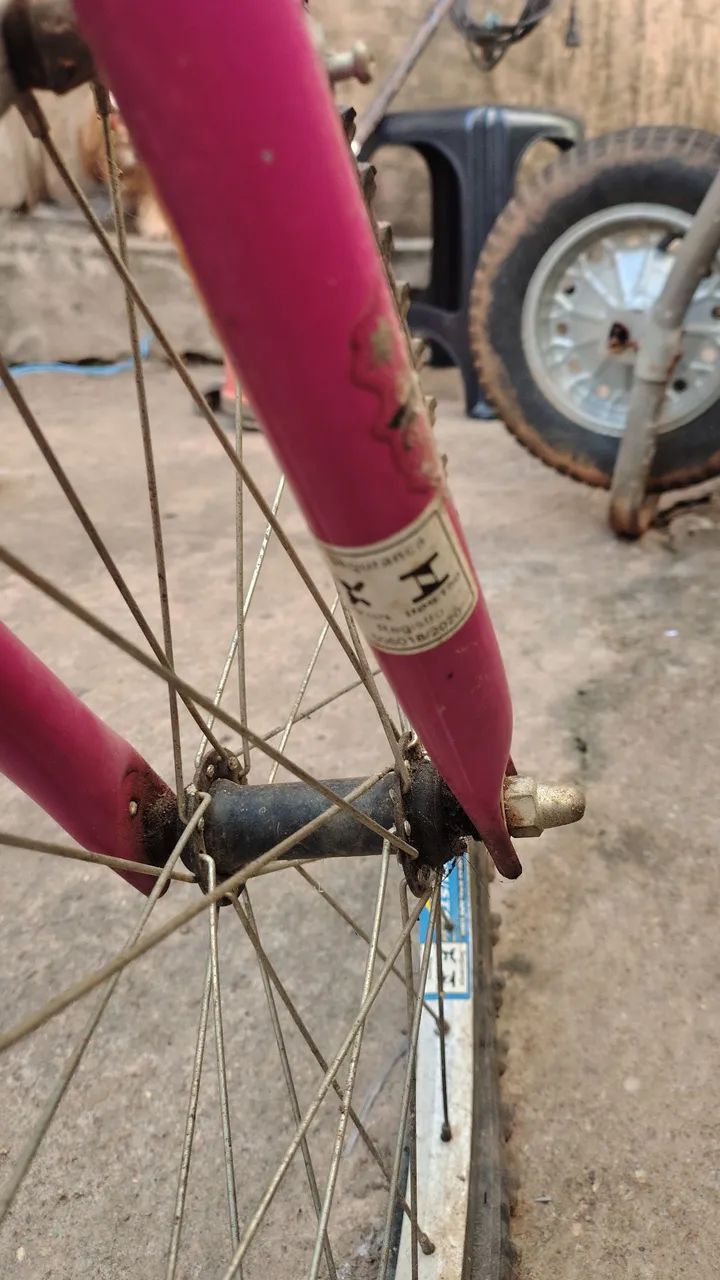 Bicicleta 