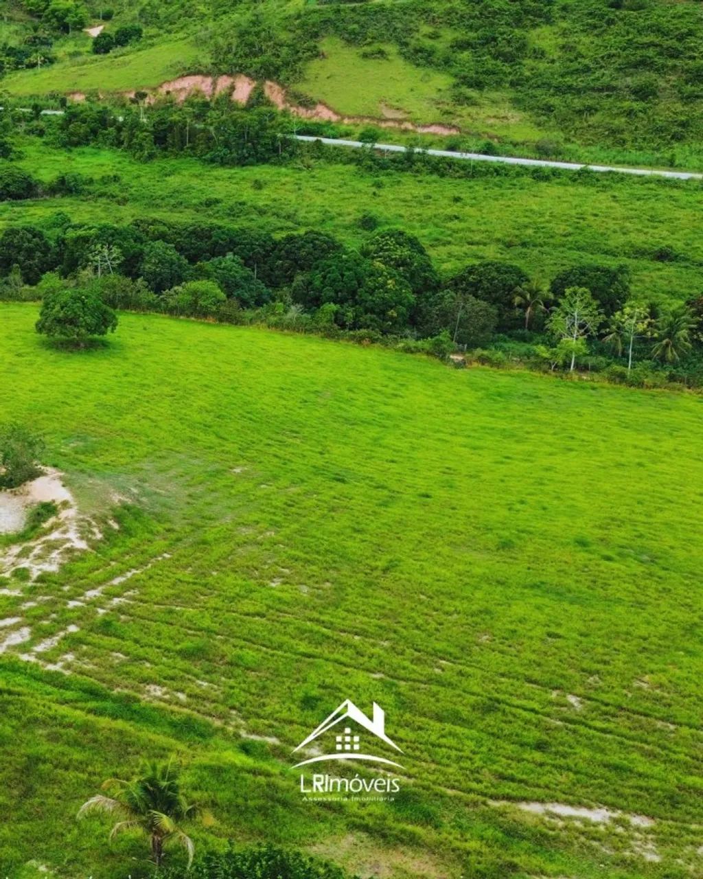 Sítio para Venda em Flexeiras, Zona Rural - Foto 5