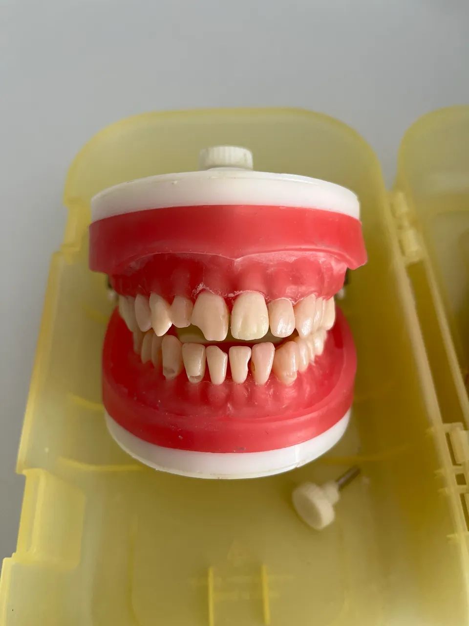 Manequim Dentística e Materiais Odontológicos PD101 - Pronew
