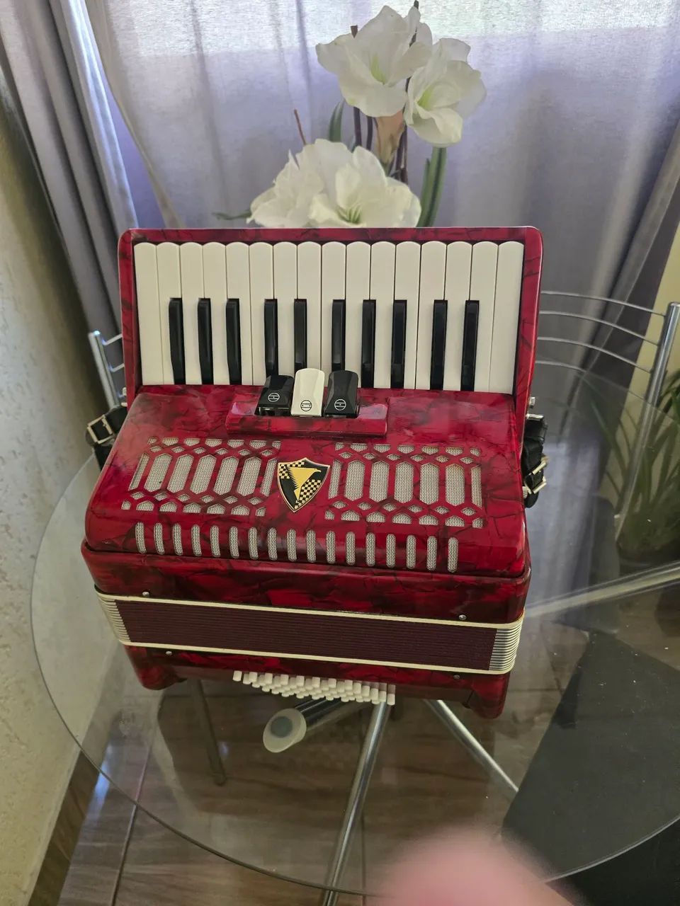Acordeon 48 baixos eagle  muito  conservado  - Foto 3