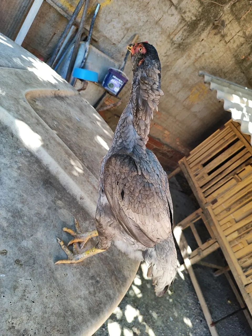 Vendo R$150  - Foto 2