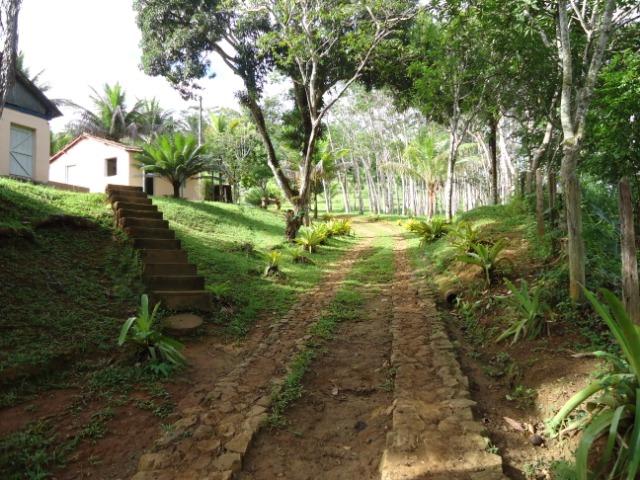 Fazenda Ilhéus Bahia/ Sul da Bahia - Foto 6
