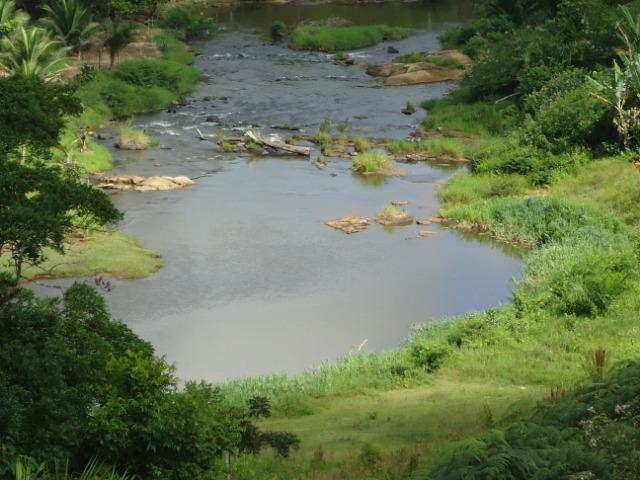Fazenda Ilhéus Bahia/ Sul da Bahia - Foto 16