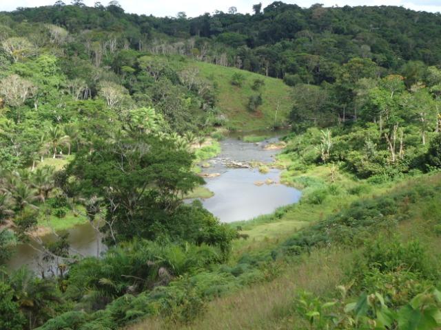 Fazenda Ilhéus Bahia/ Sul da Bahia - Foto 17