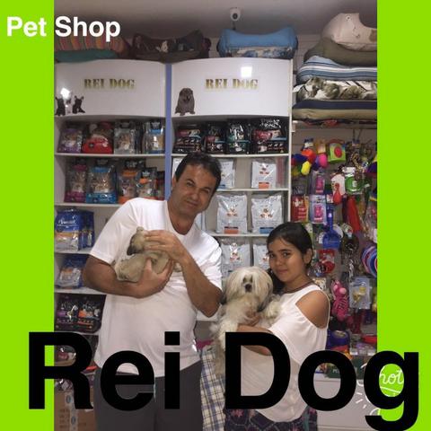 Pugs em 12x de otima procedência reidog maceio