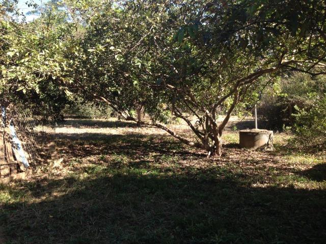 Pesqueiro região de Santo Antonio Do leverger - Foto 17