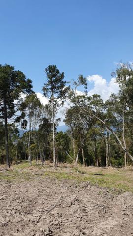Sitio em Urubici / chácara em Urubici /próximo a Rio Rufino - Foto 9
