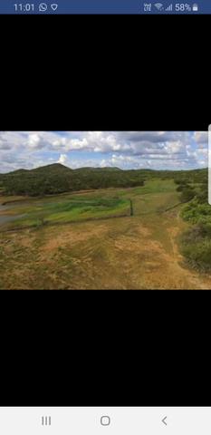 Fazenda - Foto 4