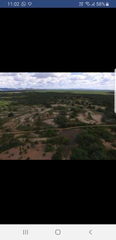 Fazenda - Foto 11