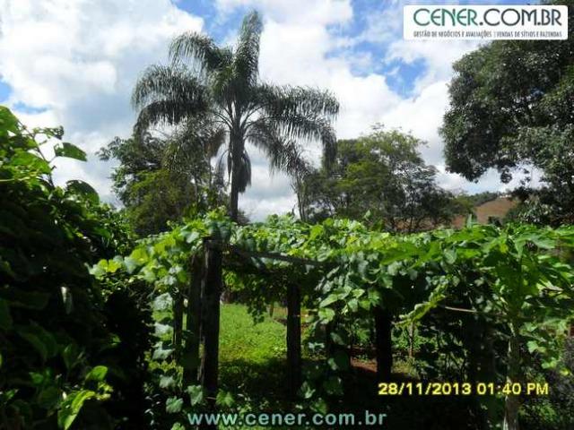 1426/Bela fazenda de 35 ha pertinho de Ouro Branco e com ótima estrutura e belo lago - Foto 6