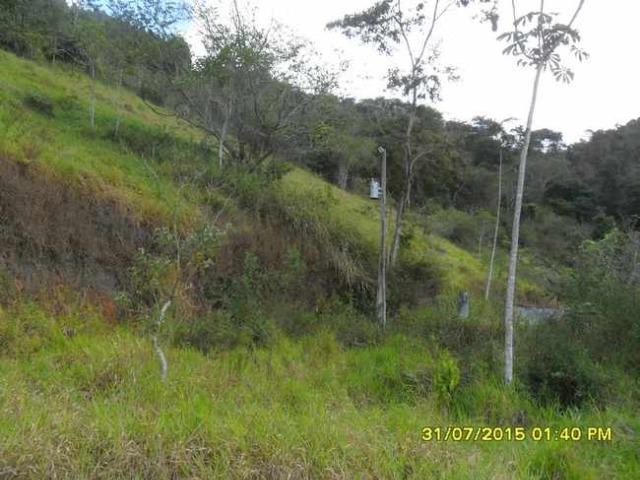 1683/Terreno de 3,19 ha com linda cachoeira e ótima localização - Foto 3