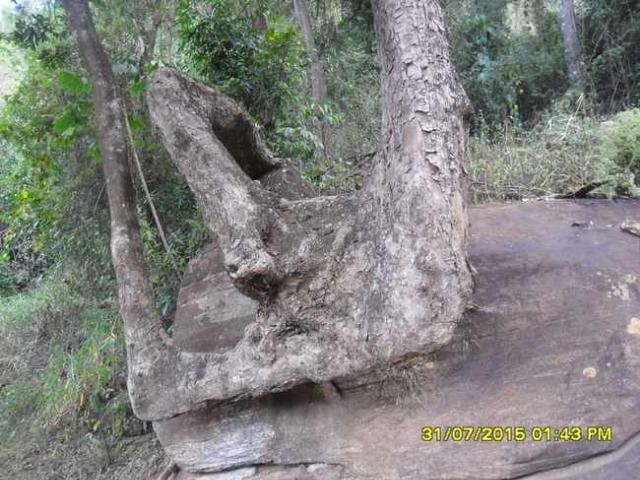 1683/Terreno de 3,19 ha com linda cachoeira e ótima localização - Foto 5