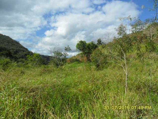 1683/Terreno de 3,19 ha com linda cachoeira e ótima localização - Foto 12
