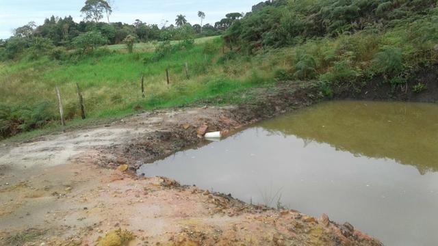 Área 1 alqueire - Foto 2