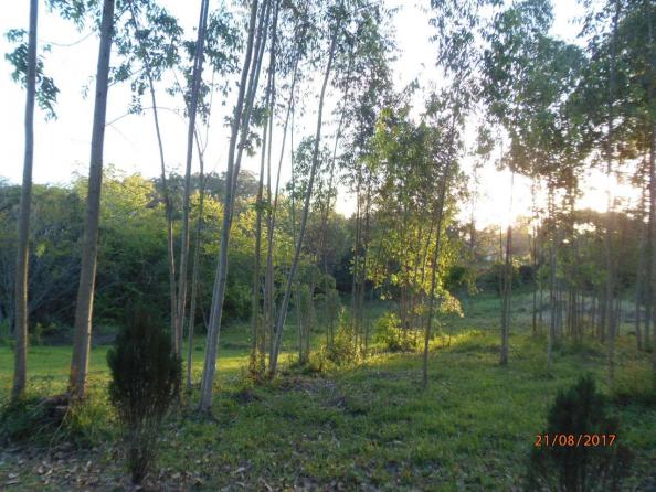 Paraíso em forma de chácara em Montenegro - 49 - Foto 16