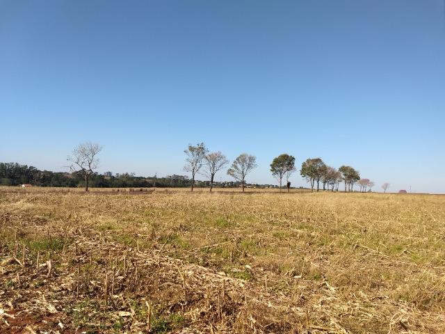 Chácara 28400 m2 próxima da cidade de Entre Rios do Oeste PR Troco por casa ou sobrado - Foto 2