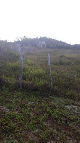 Terreno dias davila