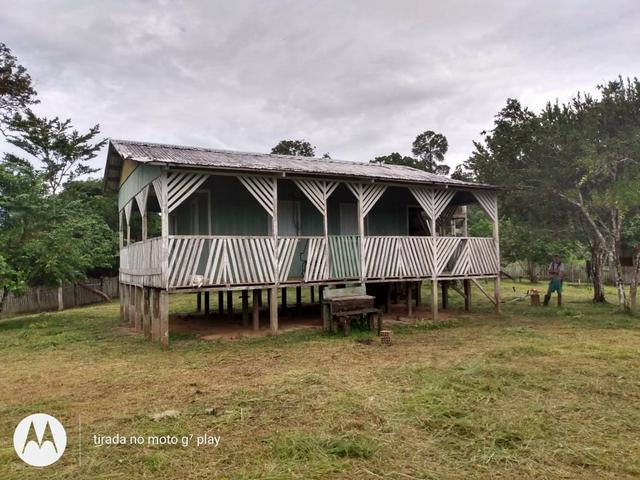 Colônia com 100 hequitare de terra por 160.000
